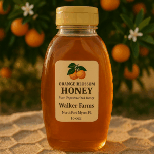 Orange Blossom Raw Honey 1 lb