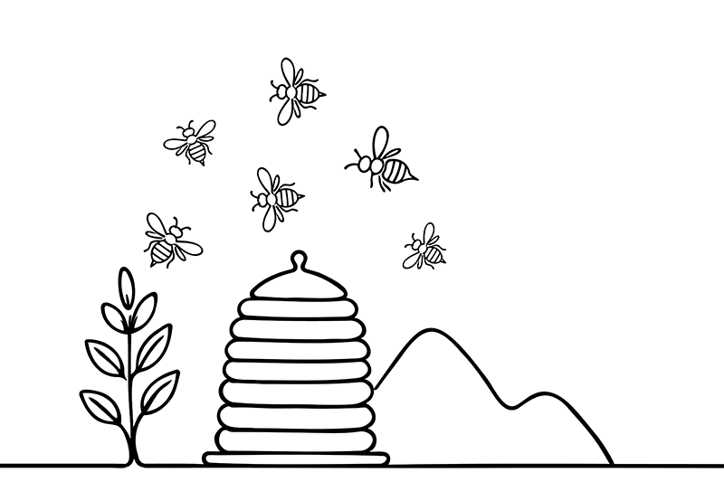 bees around a bee hive